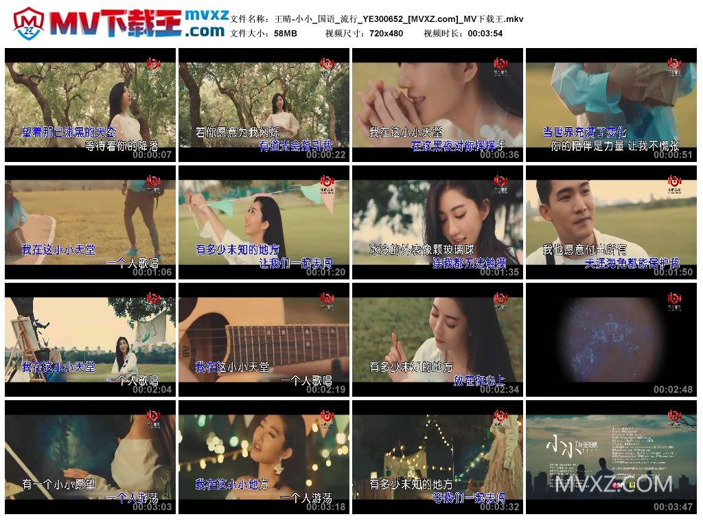 王晴-小小_国语_流行_YE300652